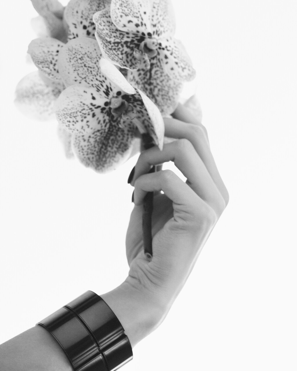 Repossi - © Artlist