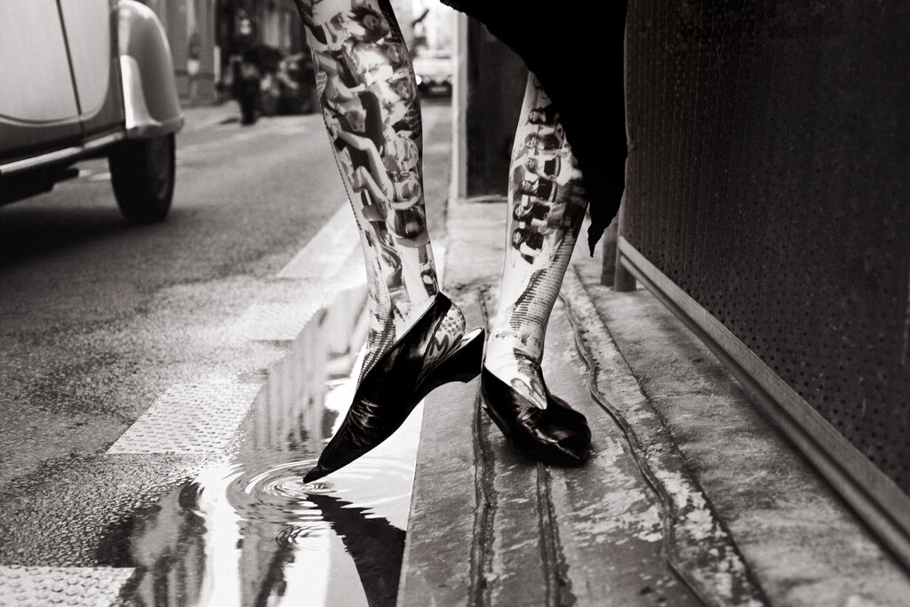 Buffalo Zine - © Artlist