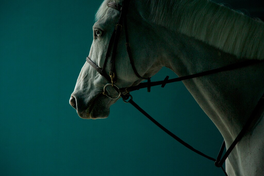 Hermès - © Artlist