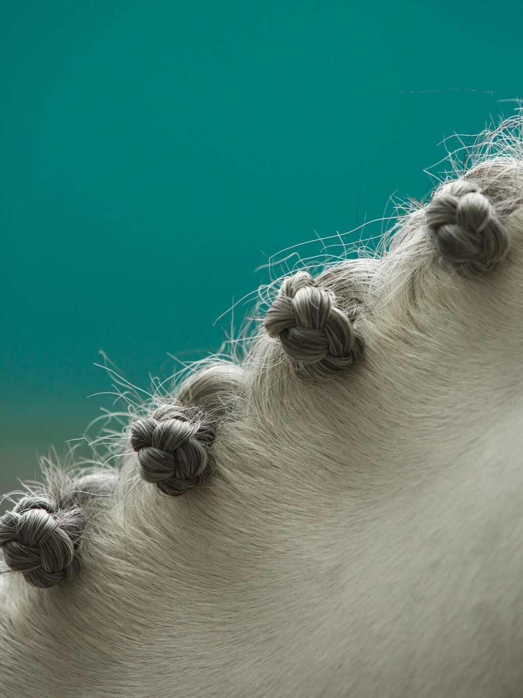 Hermès - © Artlist