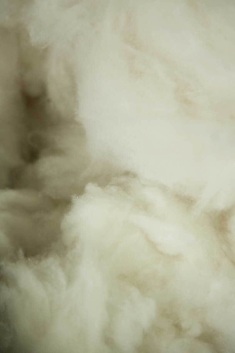 Loro Piana - © Artlist