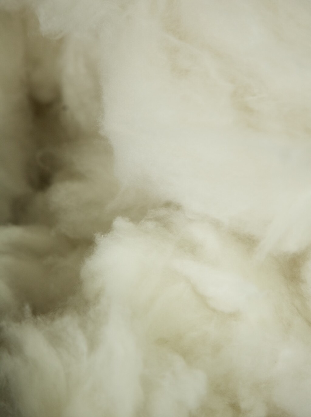 Loro Piana - © Artlist