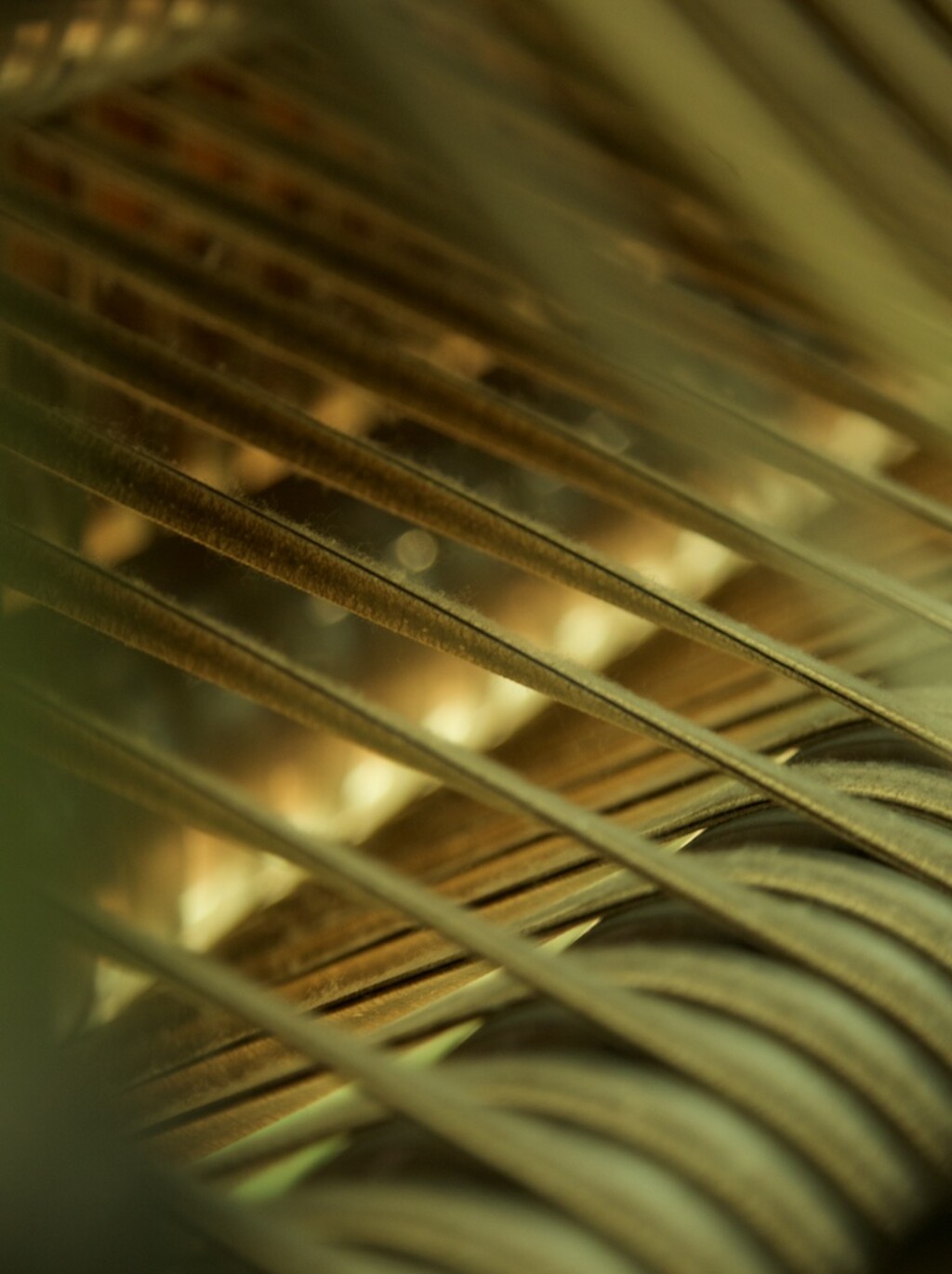 Loro Piana - © Artlist