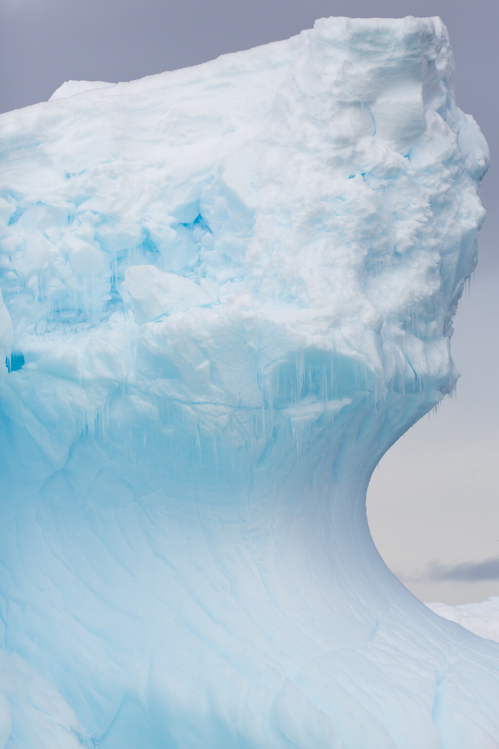 Antartica - © Artlist