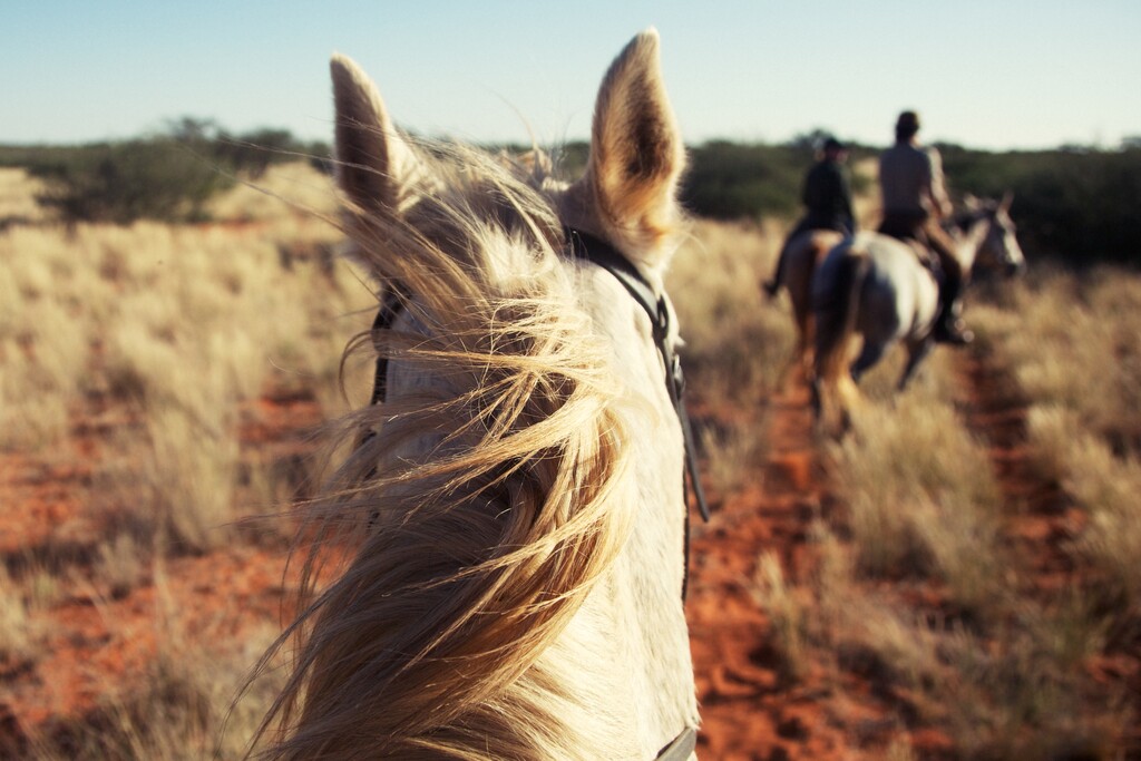 L&#8217;Officiel Voyage - © Artlist