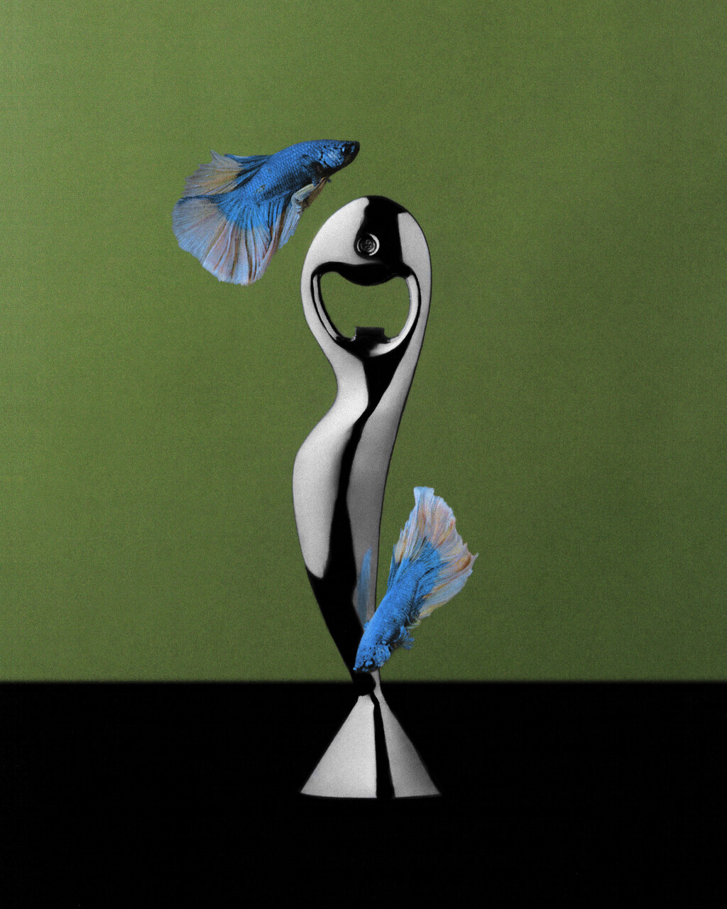 Ardi - © Artlist