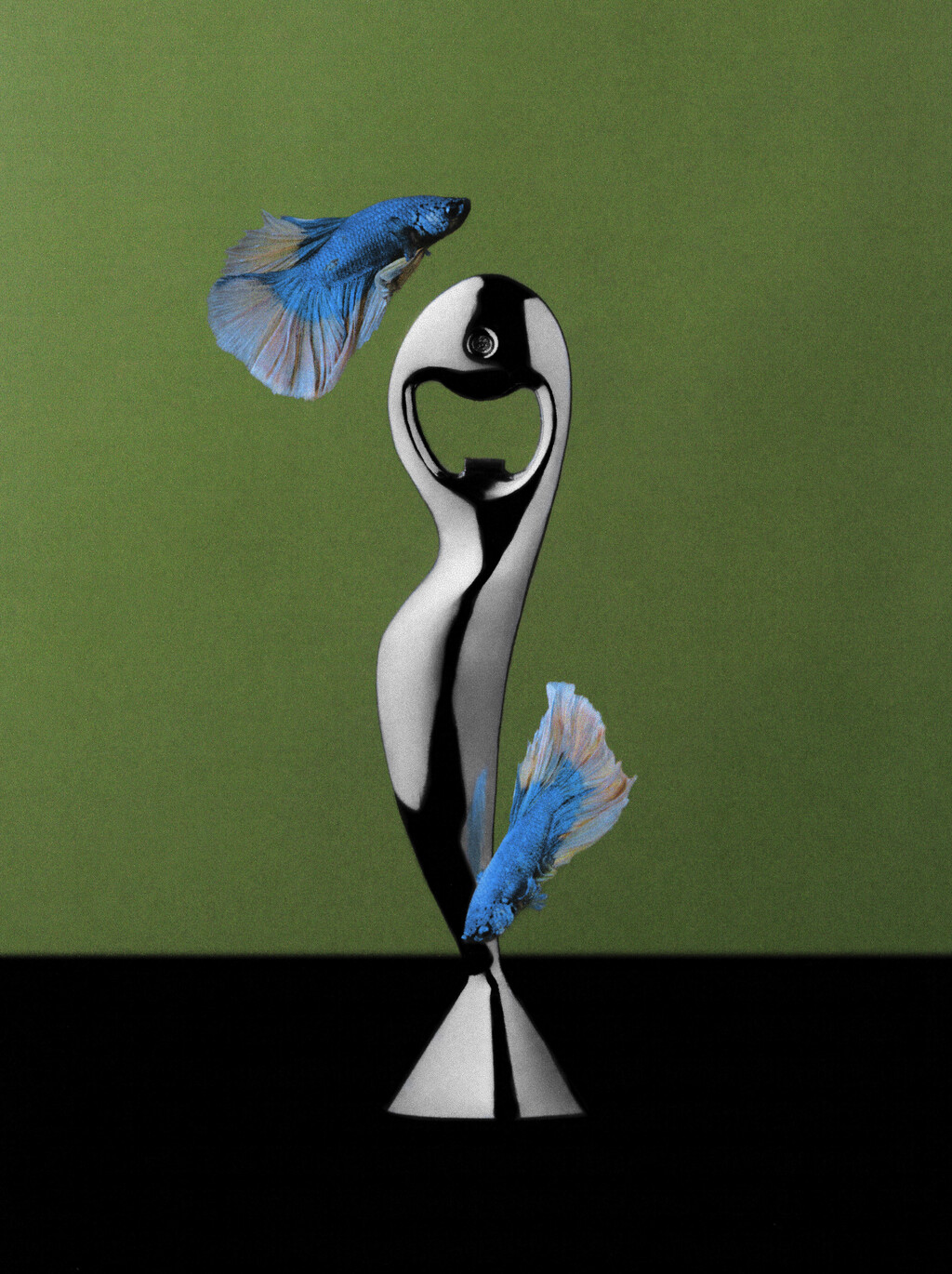Ardi - © Artlist