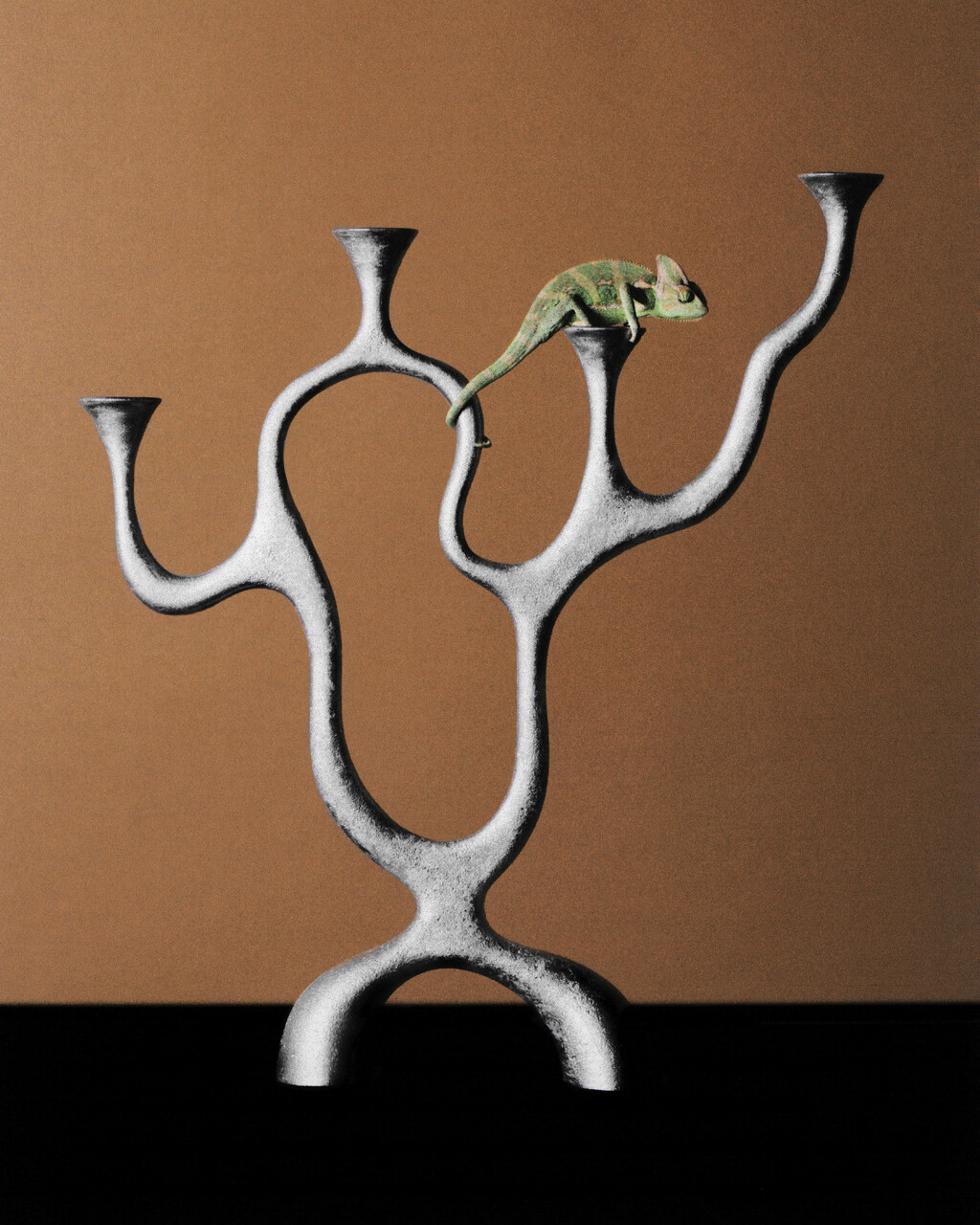 Ardi - © Artlist
