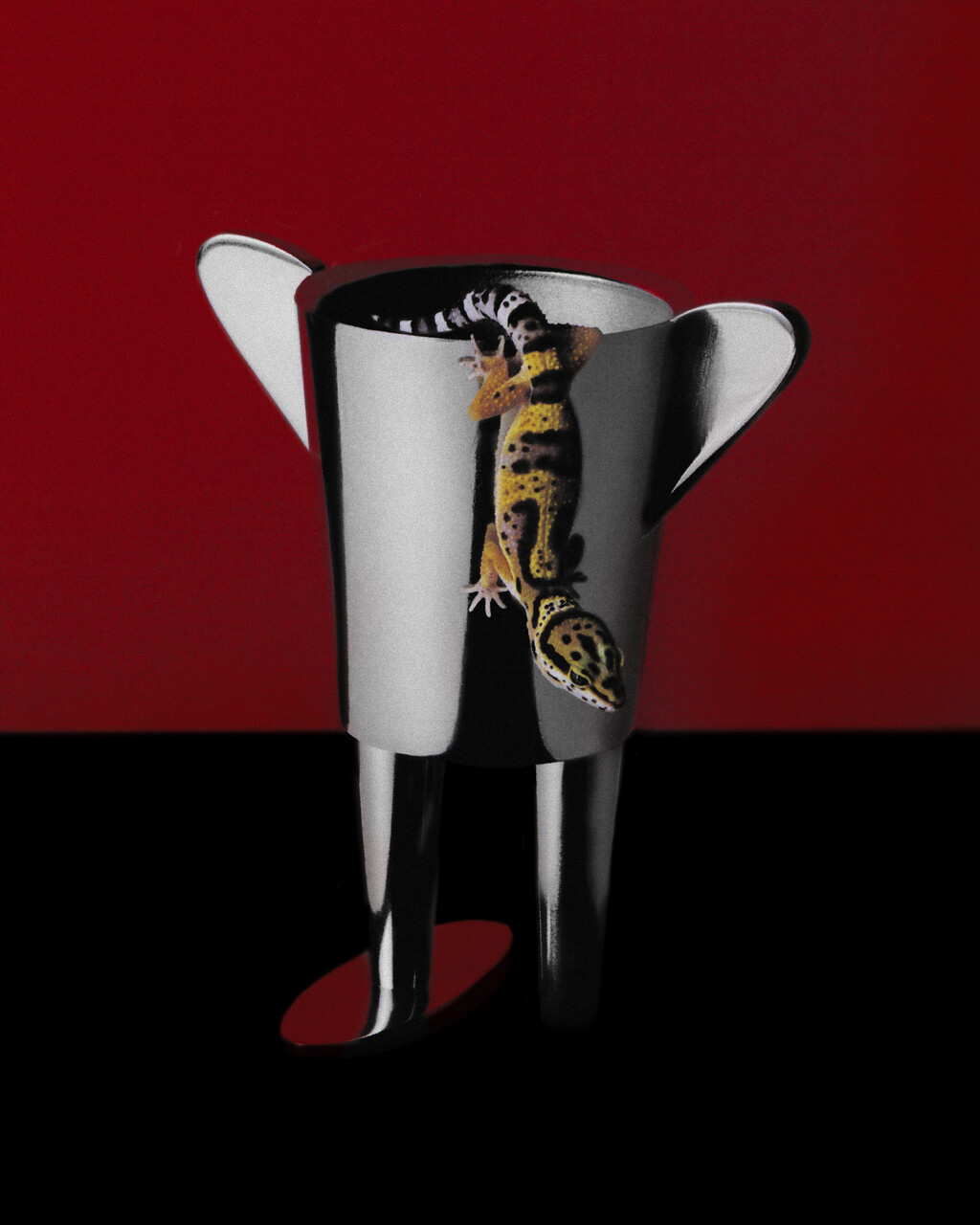 Ardi - © Artlist