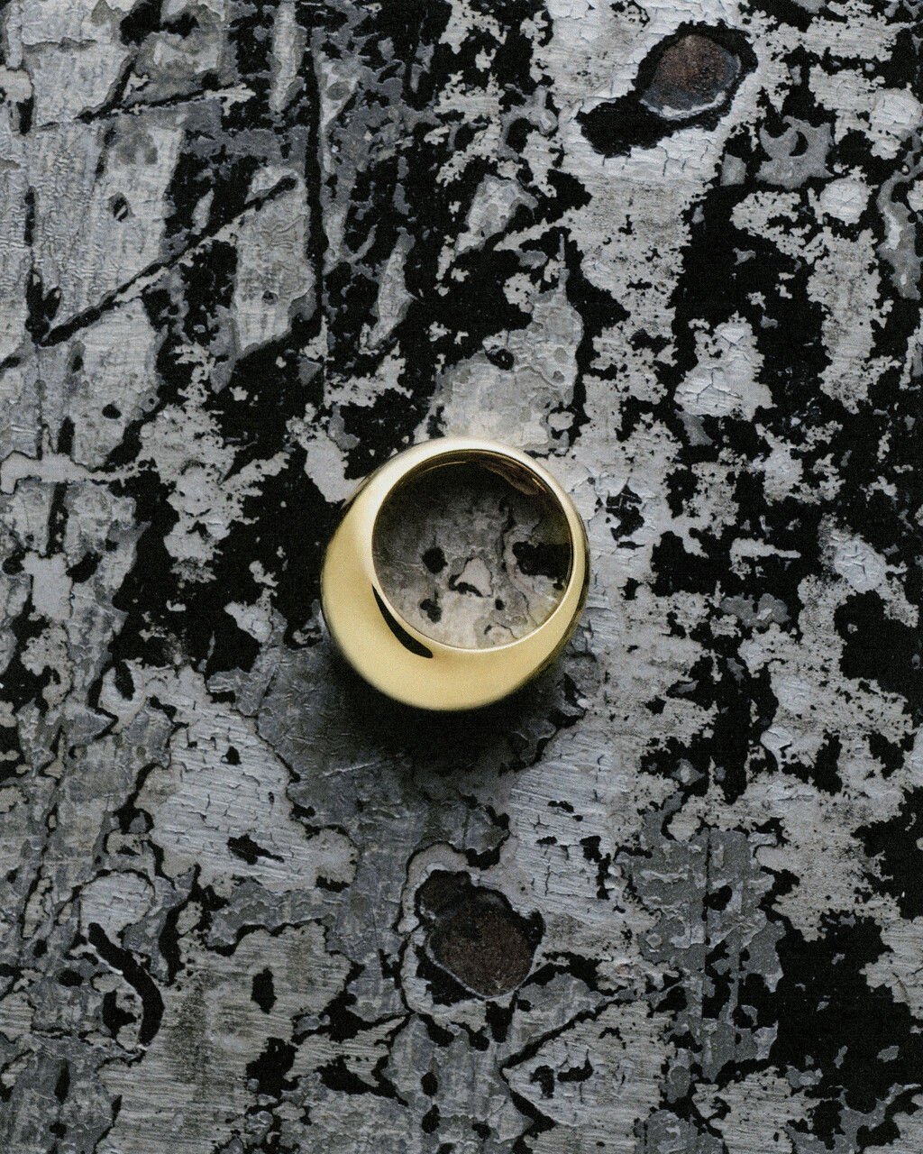 D la Repubblica - © Artlist