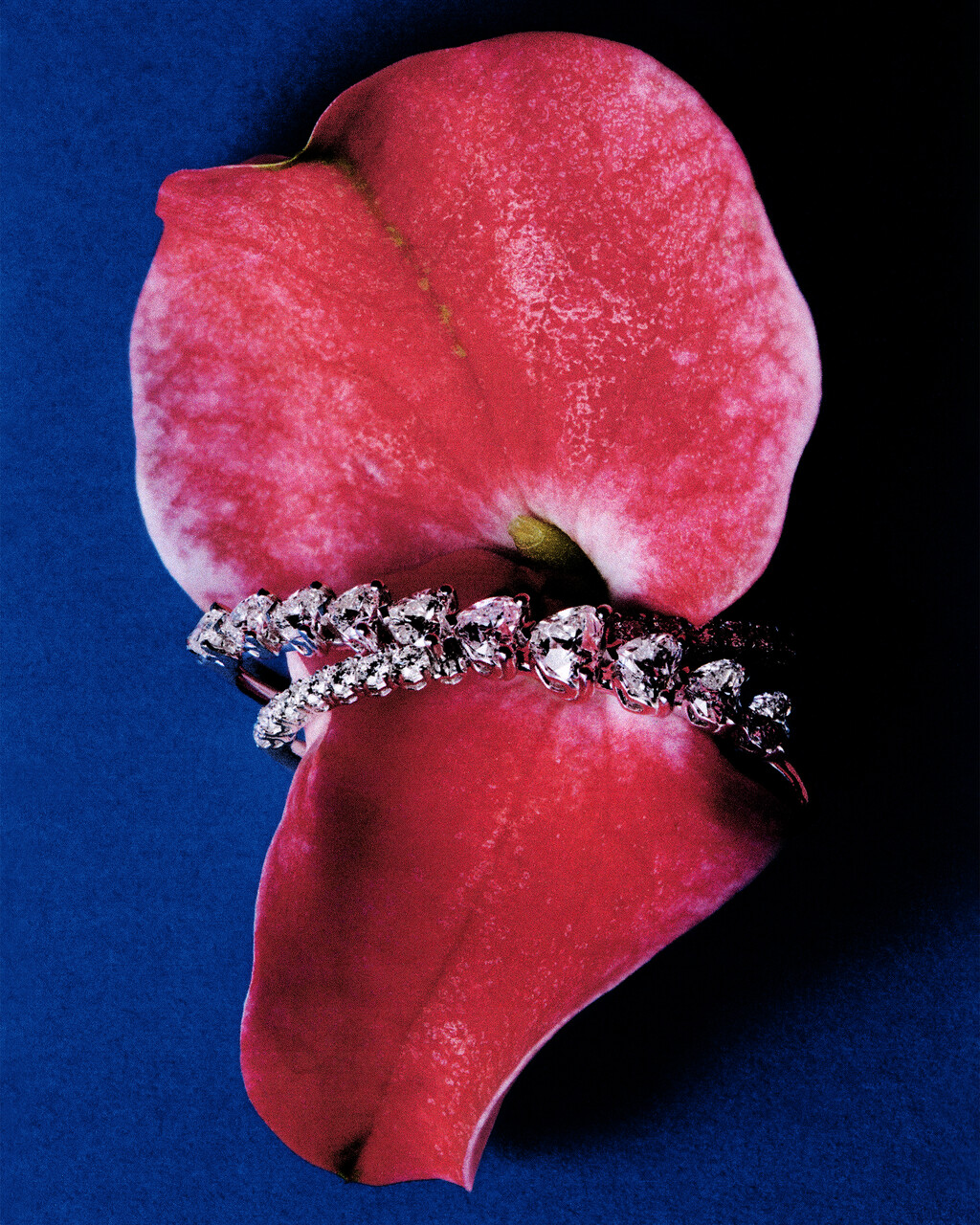 D la Repubblica - © Artlist
