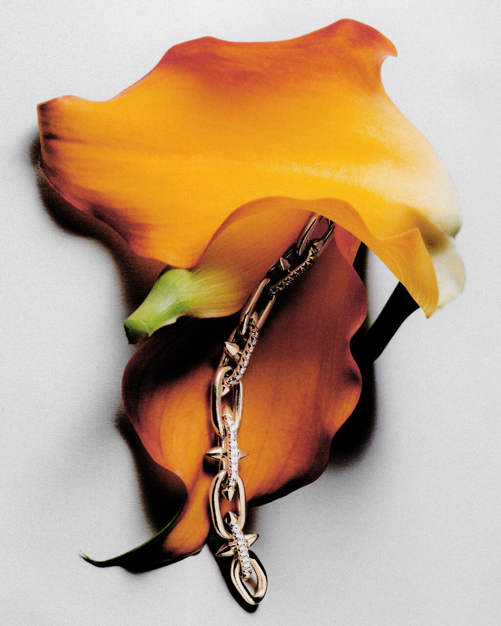 D la Repubblica - © Artlist