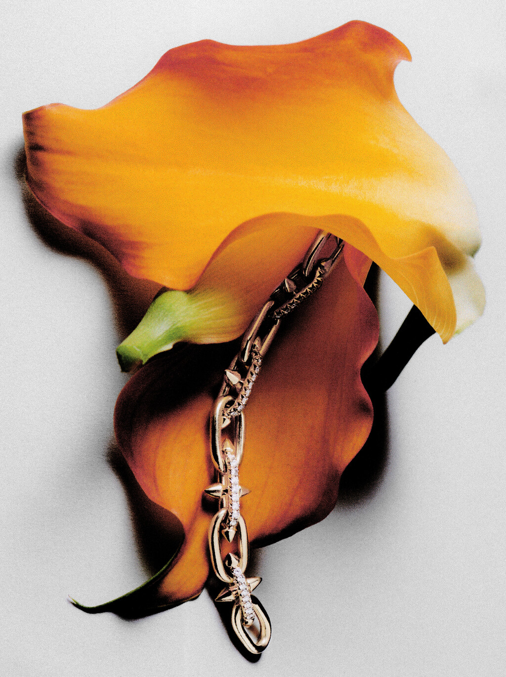 D la Repubblica - © Artlist