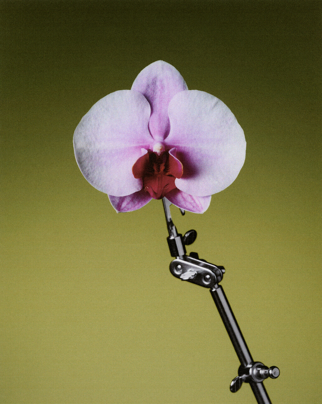 Personal project - © Artlist