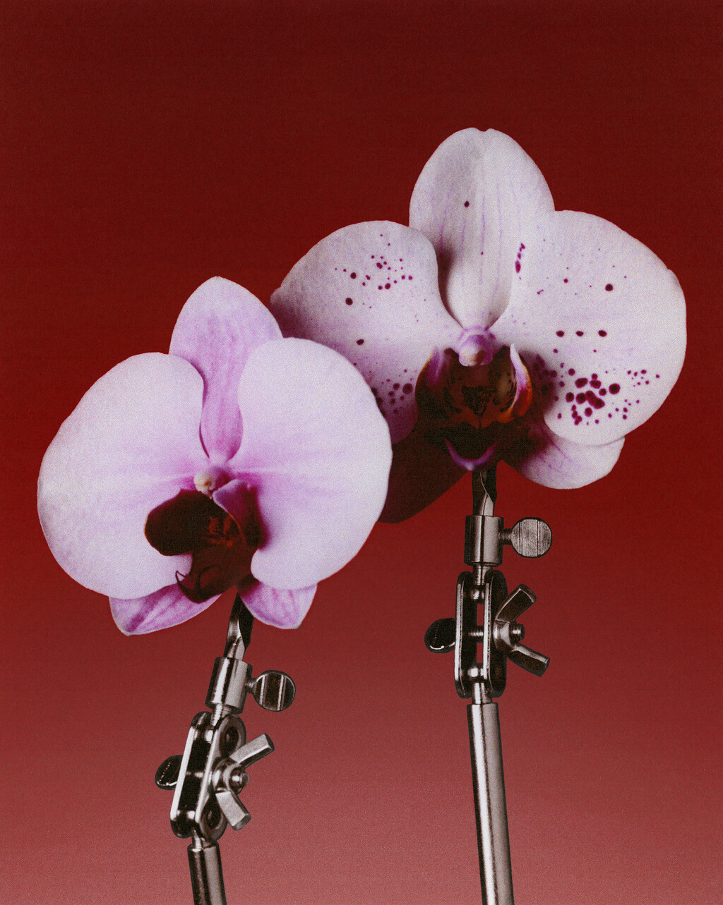 Personal project - © Artlist