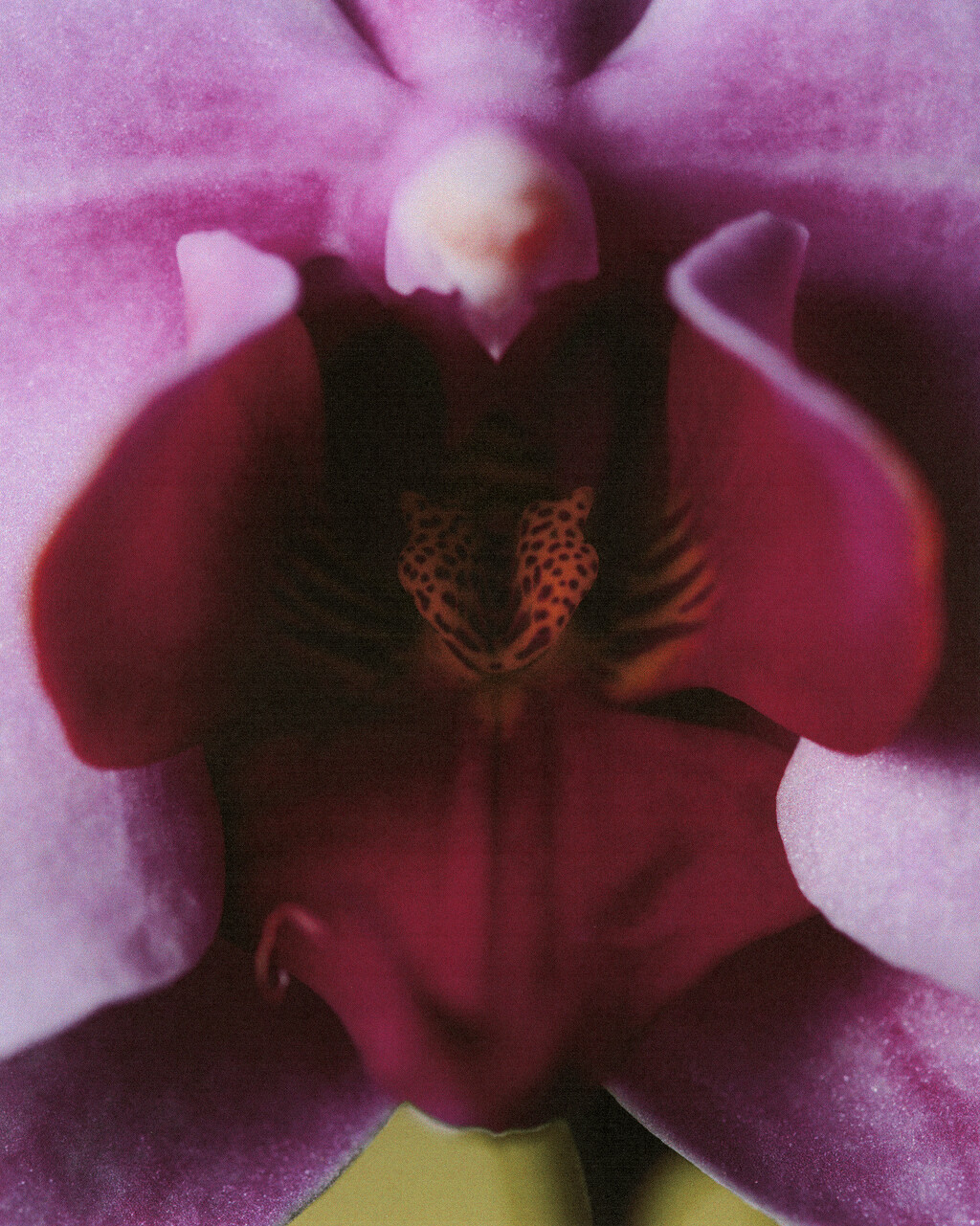 Personal project - © Artlist