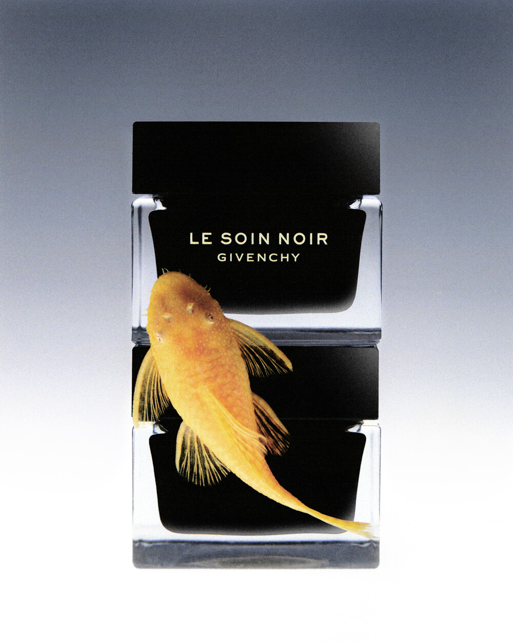 Perfumes - © Artlist