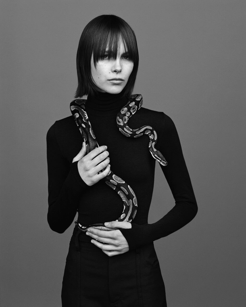 D la Repubblica - © Artlist