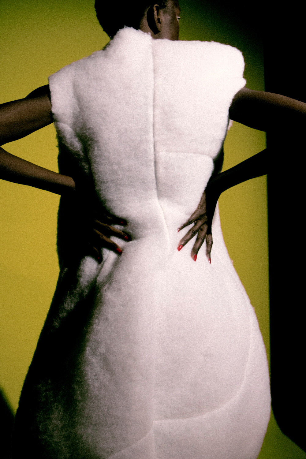 Rice Project - © Artlist