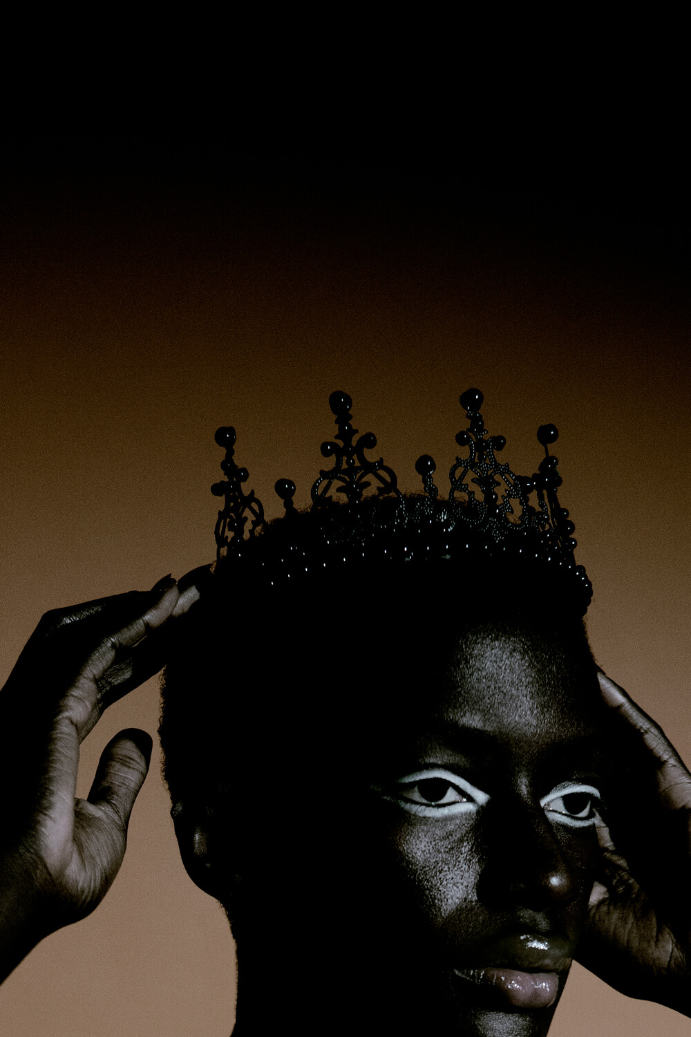 Rice Project - © Artlist