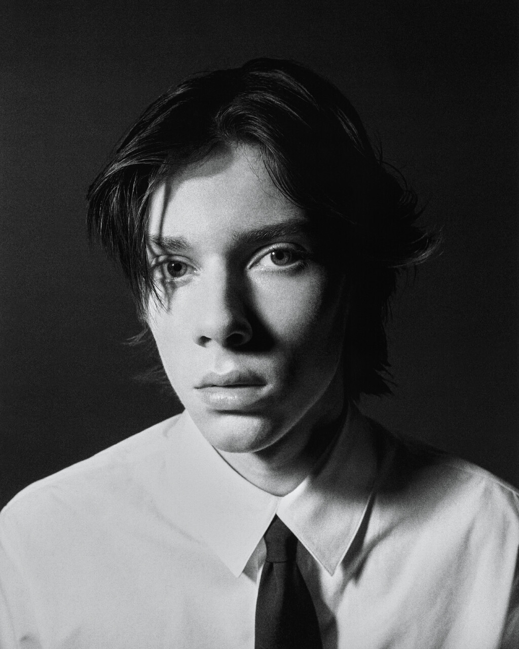 Passaro - © Artlist