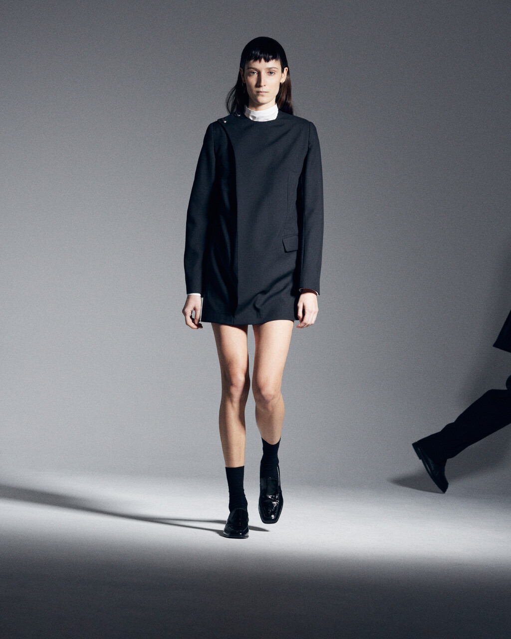 Passaro - © Artlist