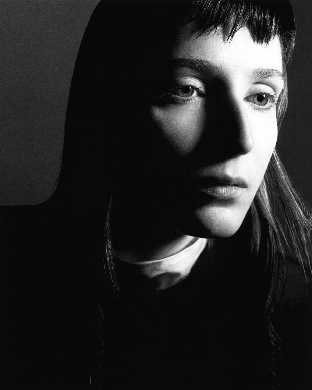 Passaro - © Artlist