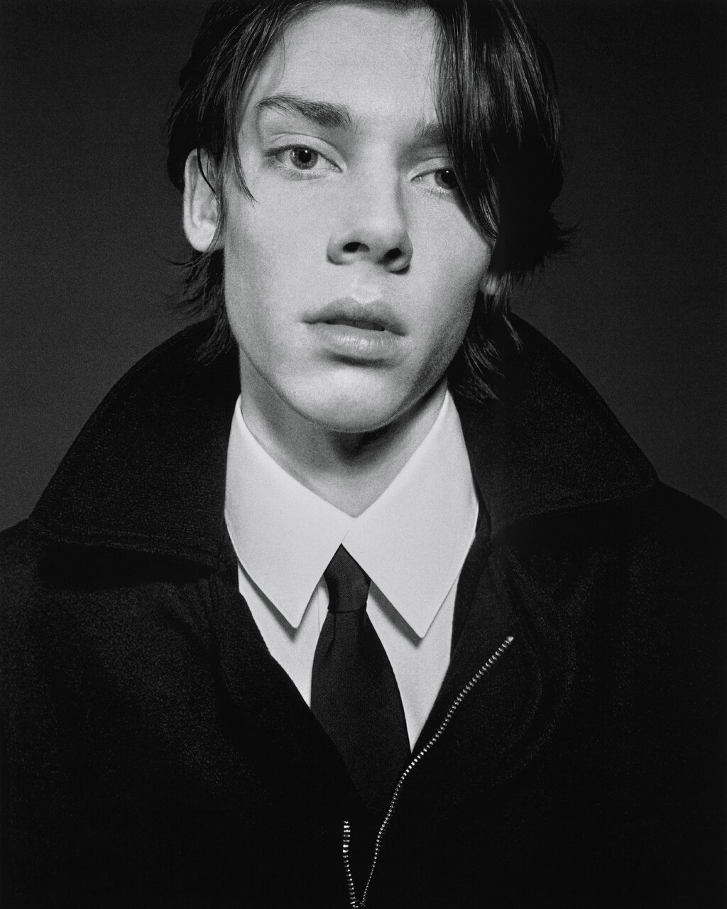 Passaro - © Artlist