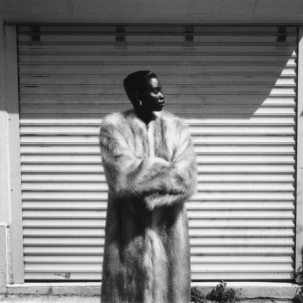 Nyanderi - © Artlist