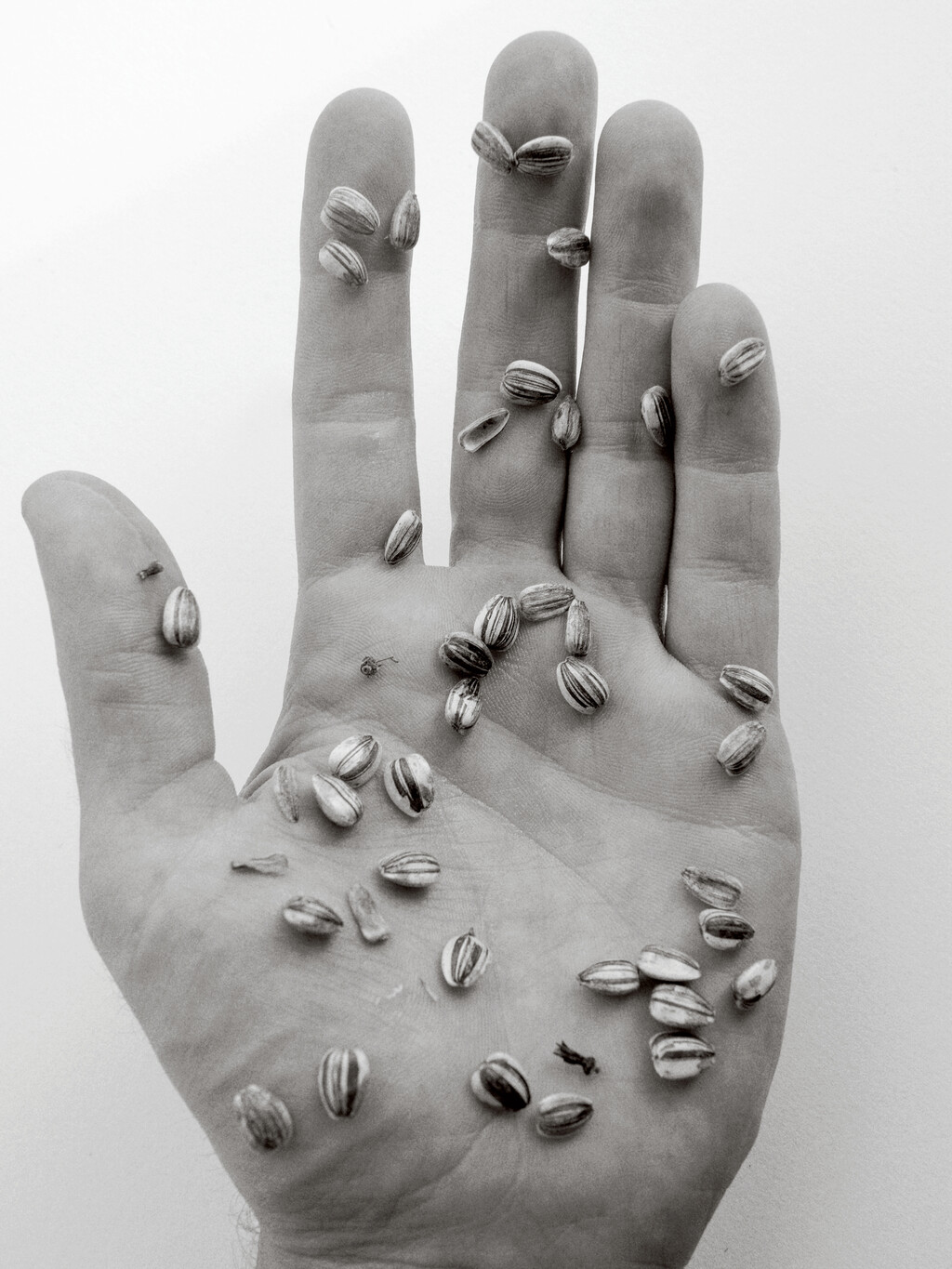 Mount Sapo - © Artlist