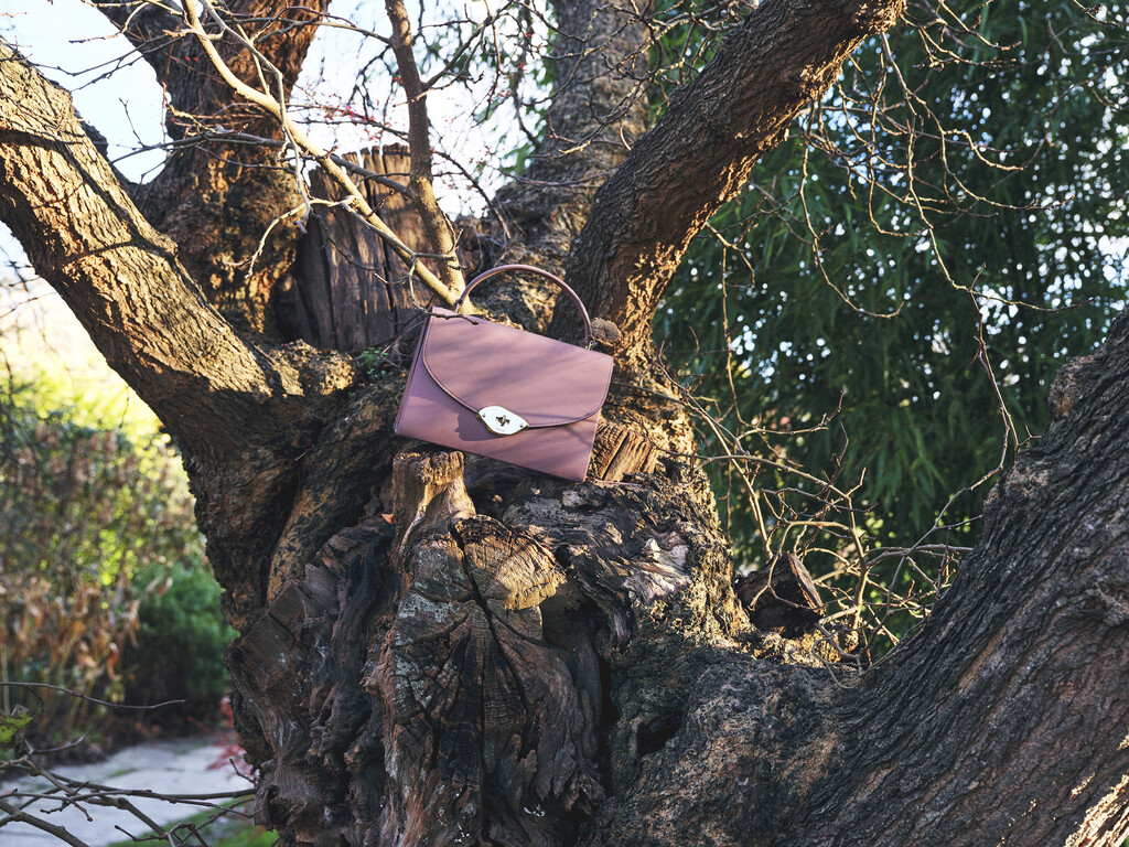 Mulberry - © Artlist