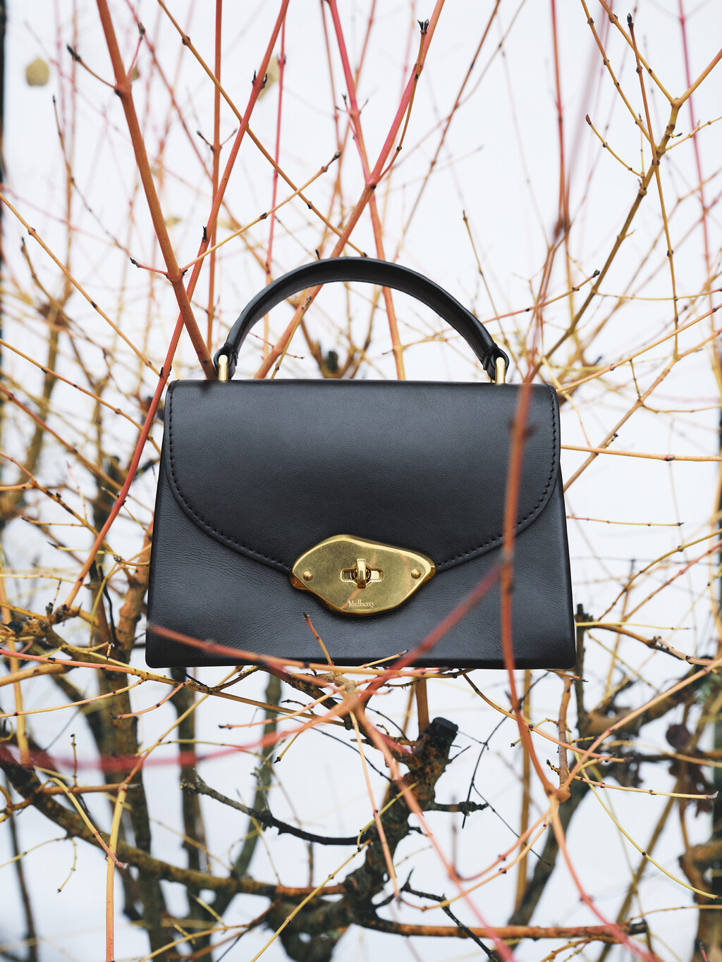 Mulberry - © Artlist