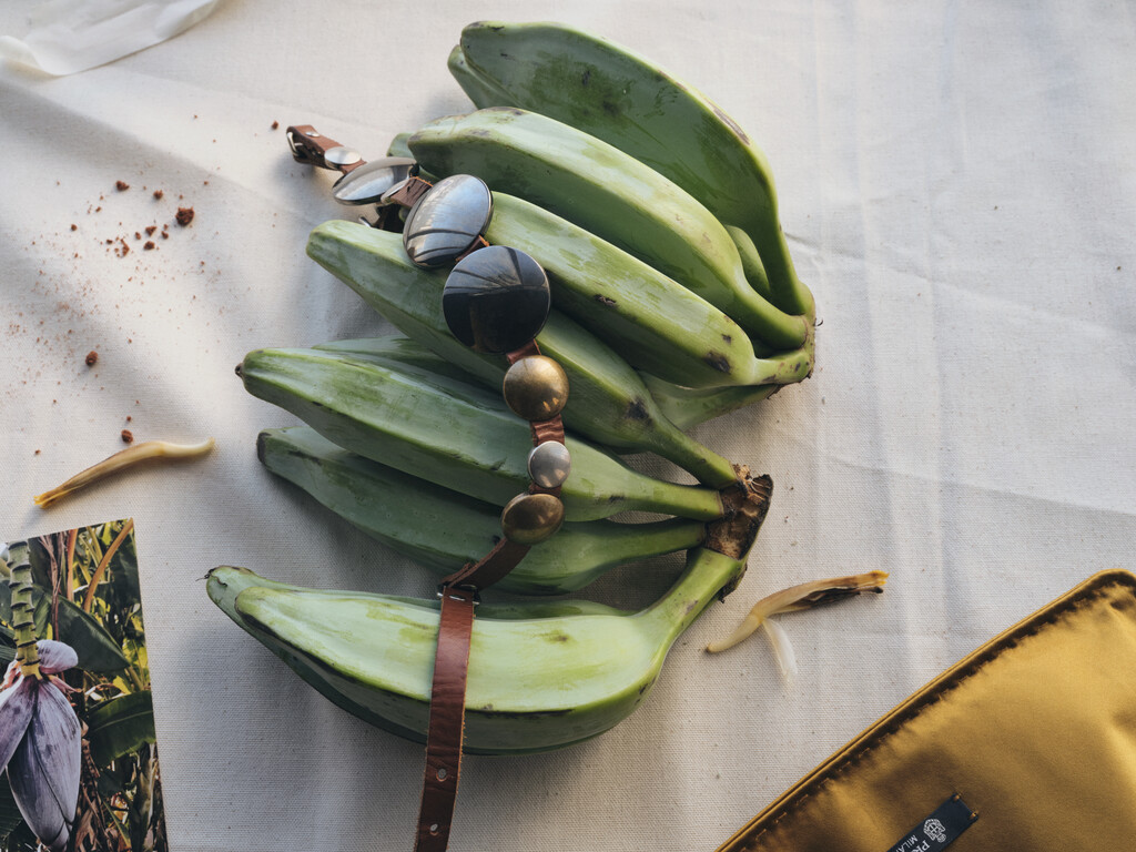 Holiday Magazine - © Artlist