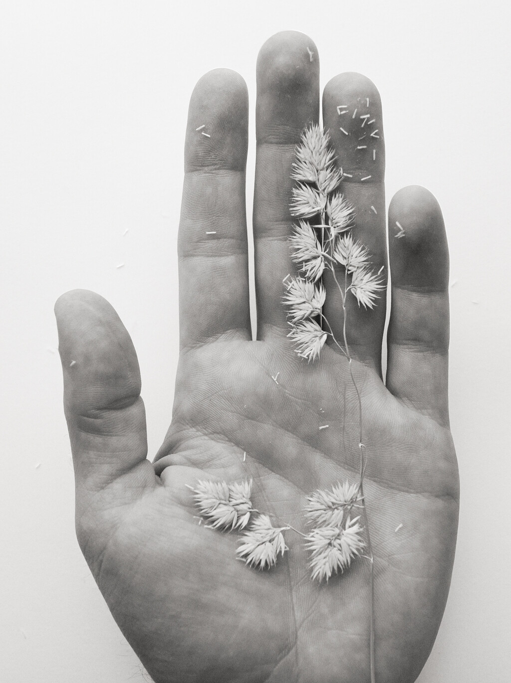 Holiday Magazine - © Artlist