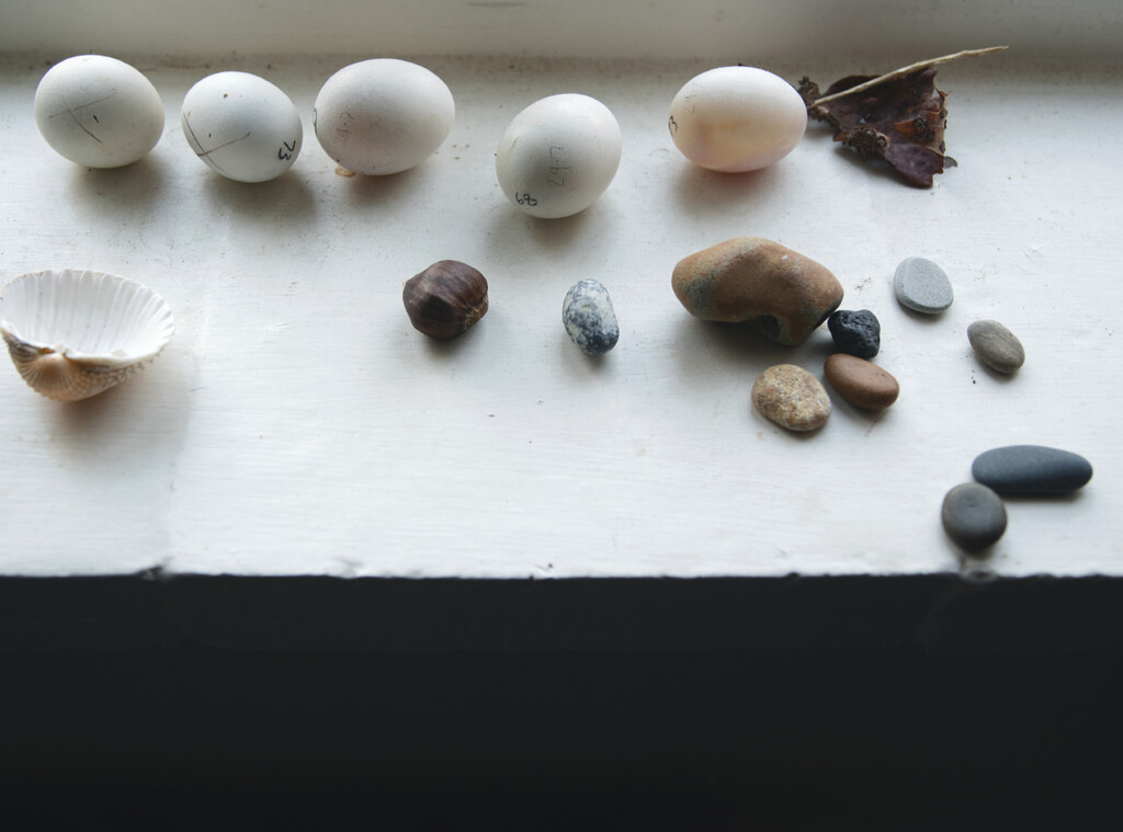 Personal Project - © Artlist