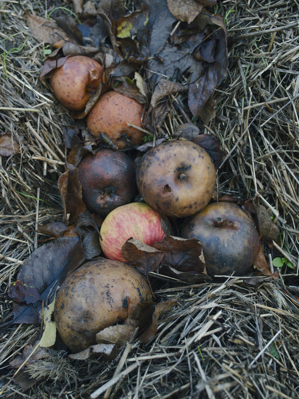 Personal Project - © Artlist