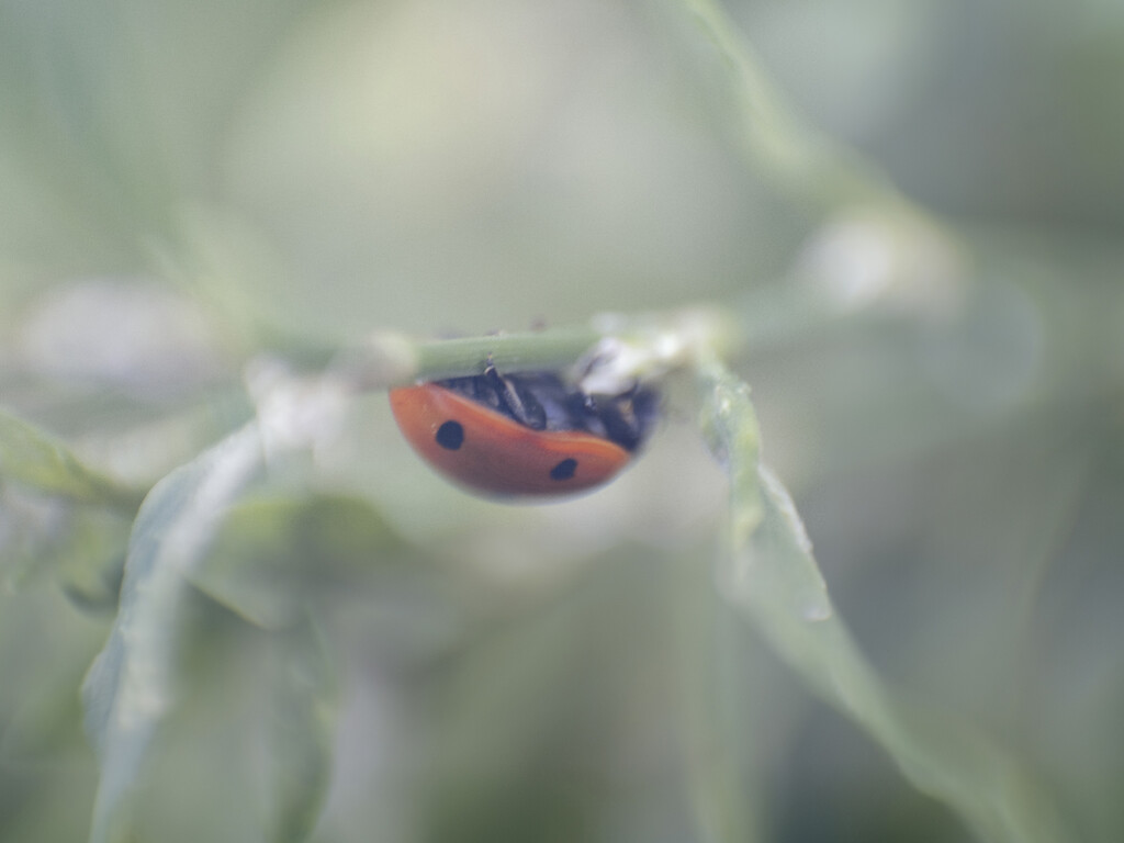 Personal Project - © Artlist