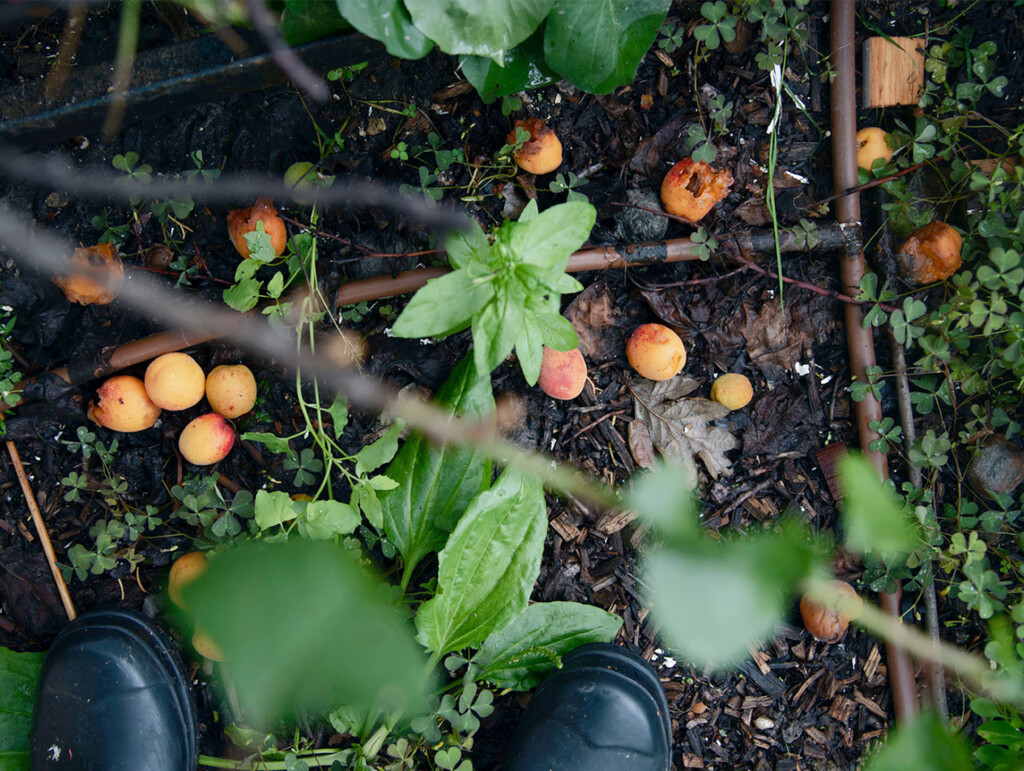 Personal Project - © Artlist