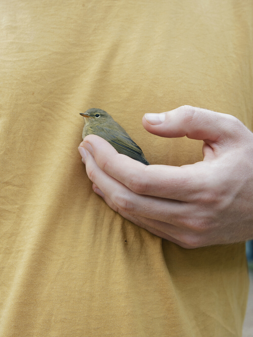 Personal Project - © Artlist