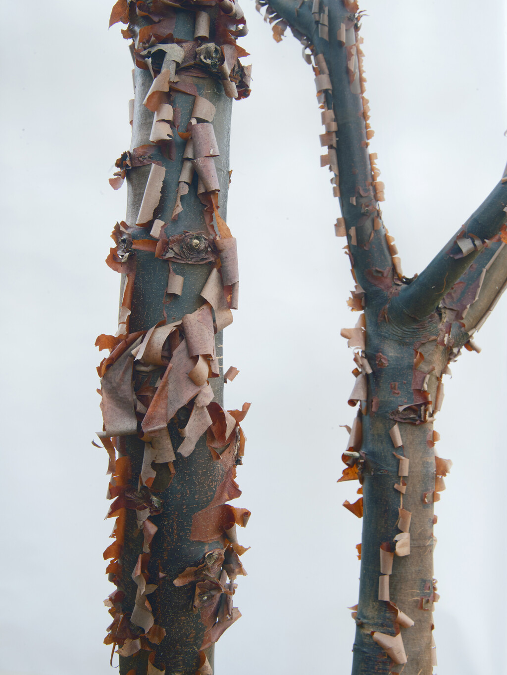 Personal Project - © Artlist