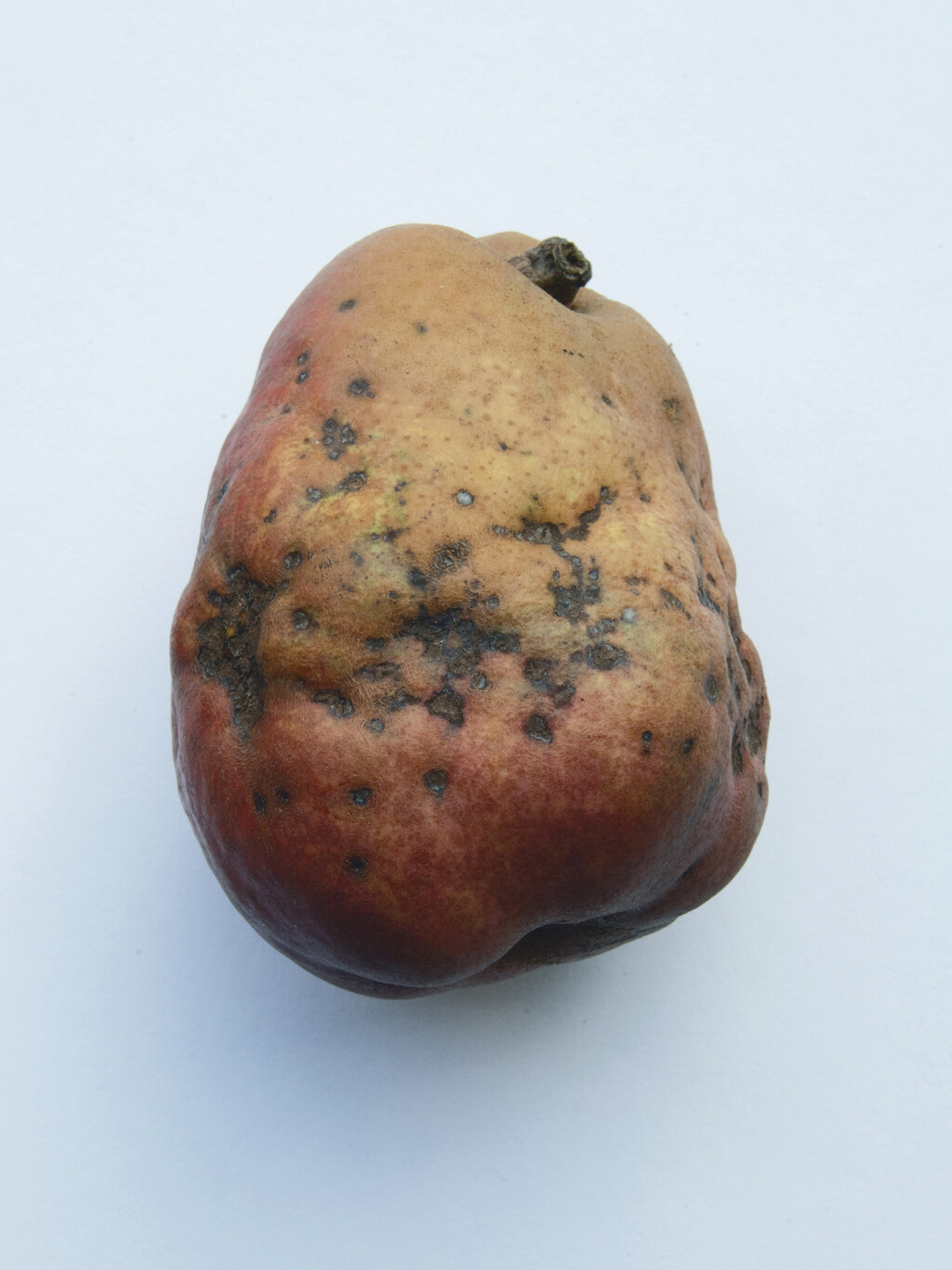 Personal Project - © Artlist