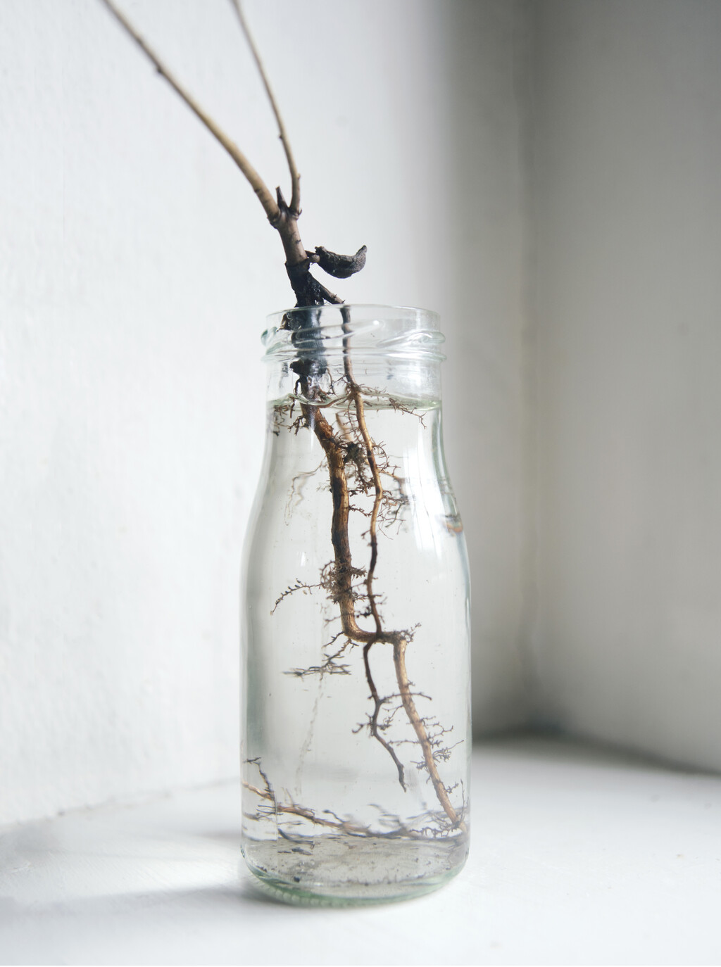 Personal Project - © Artlist