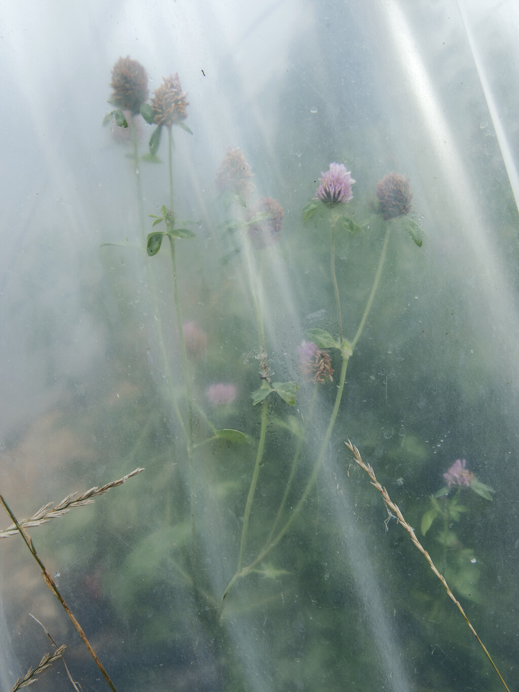 Trust Judy Blame - © Artlist