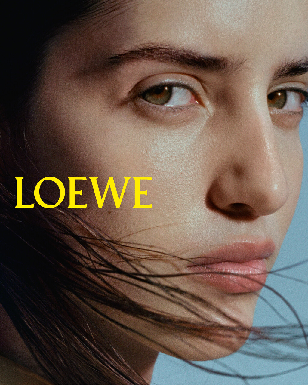Loewe - © Artlist