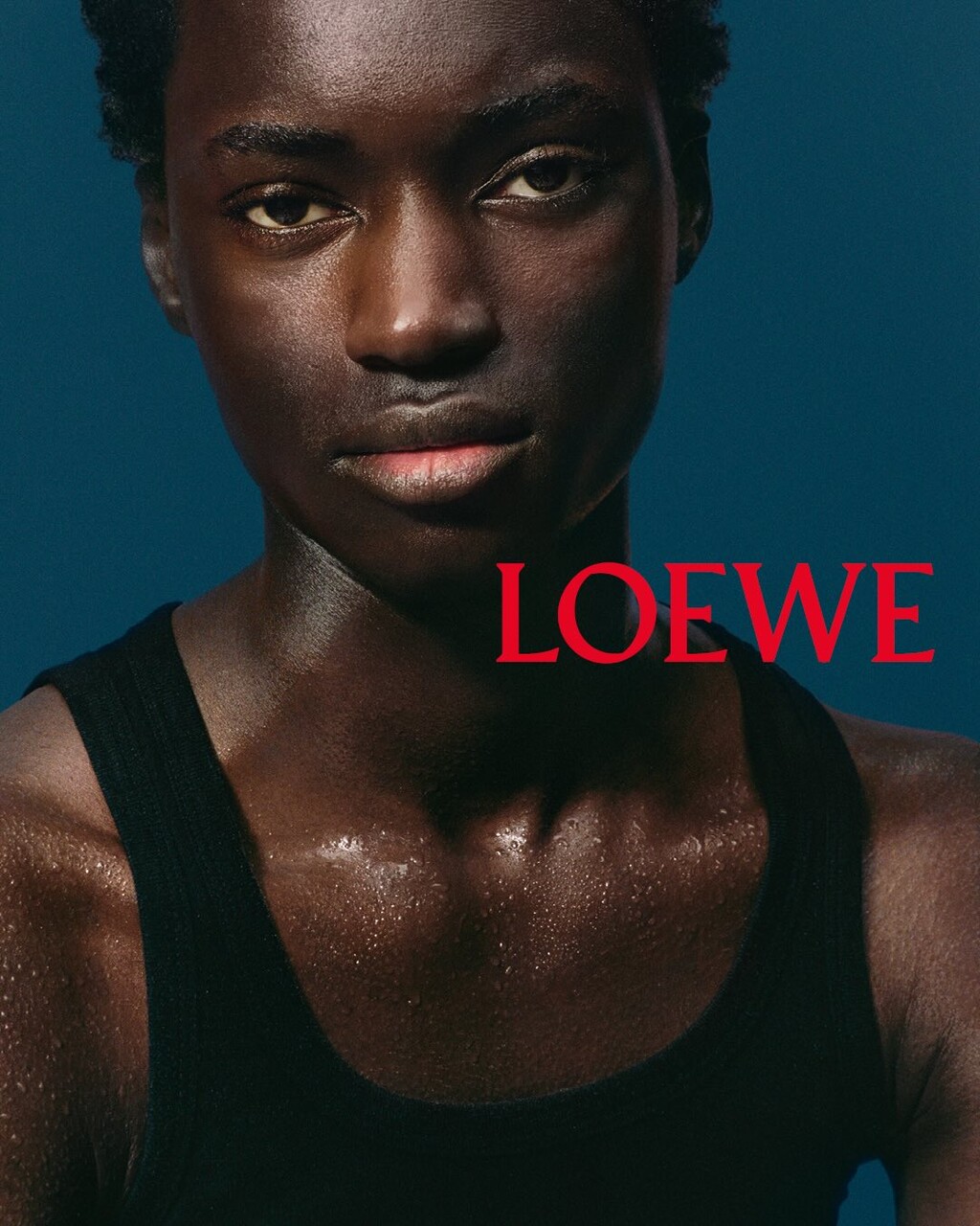 Loewe - © Artlist