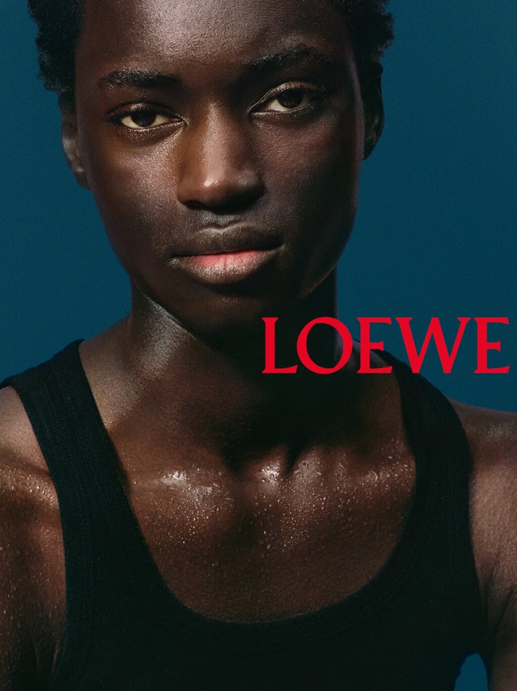 Loewe - © Artlist