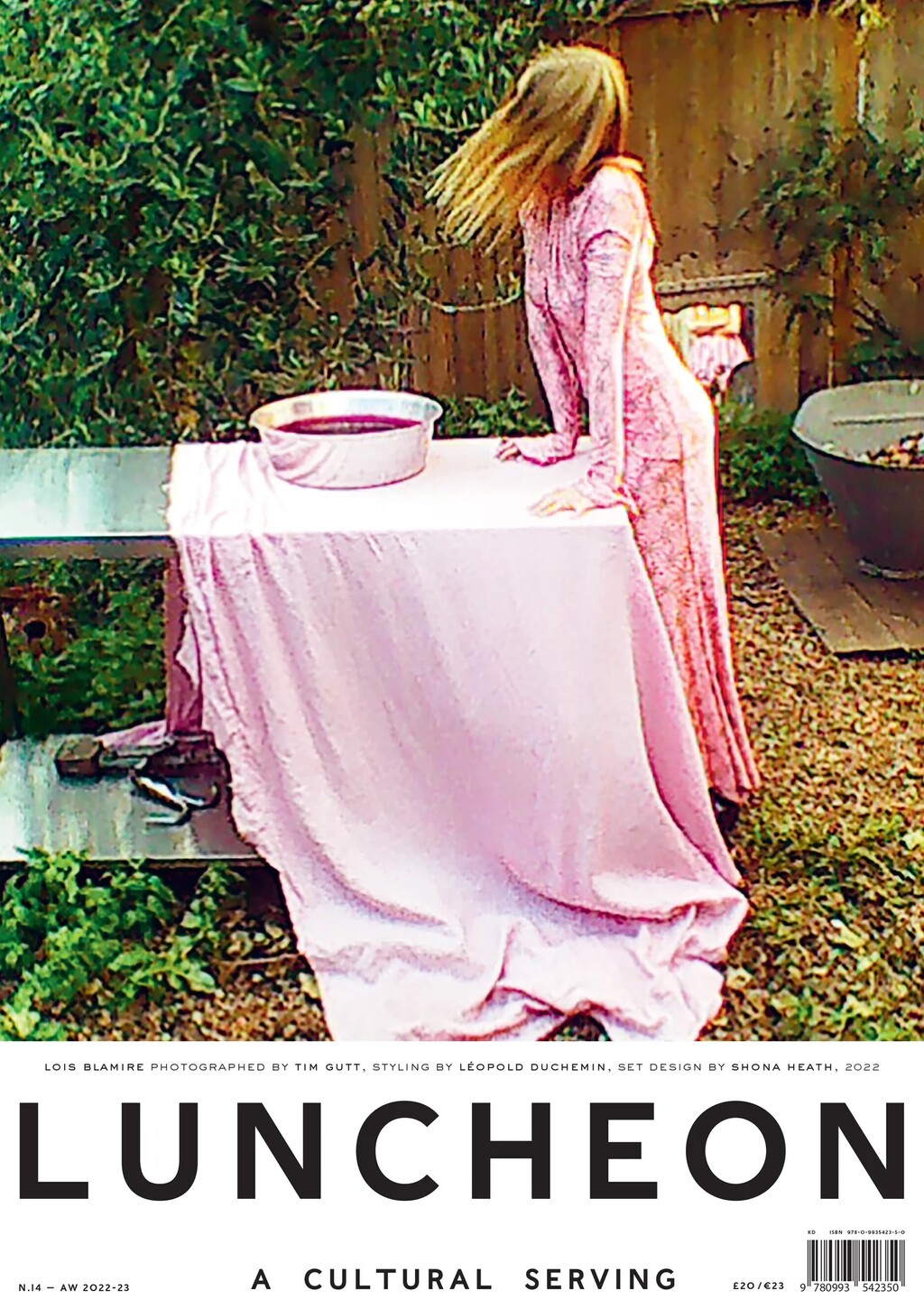 Luncheon - © Artlist