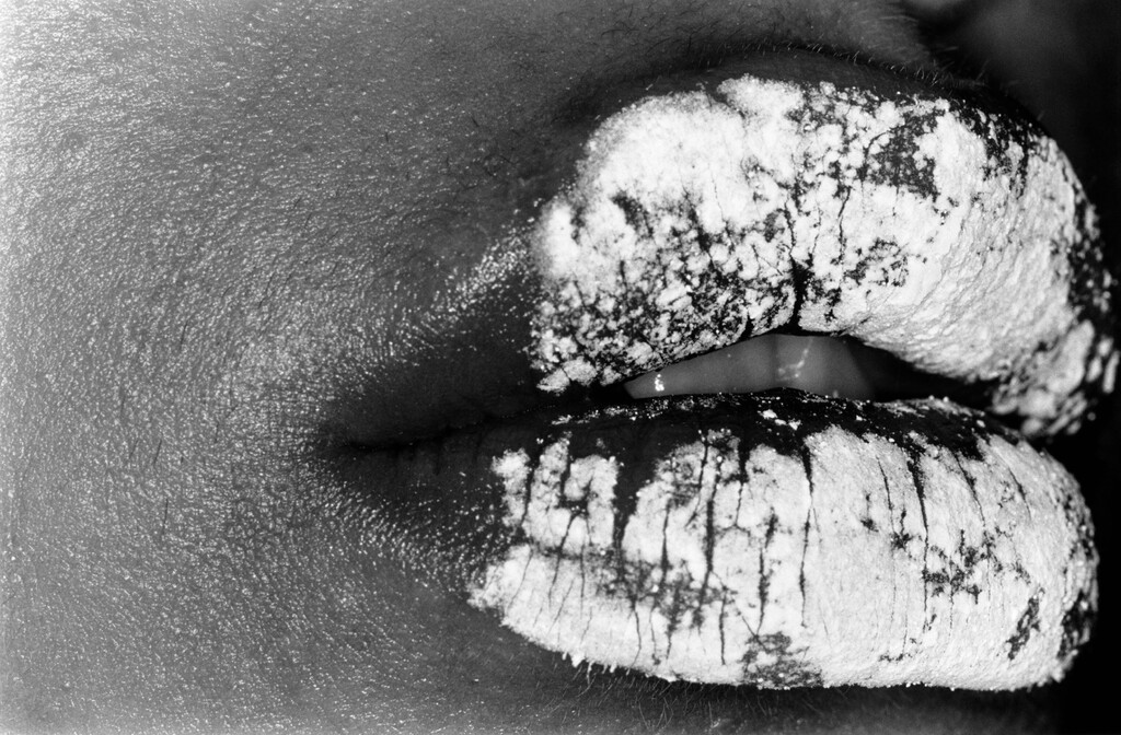 Truffle - © Artlist