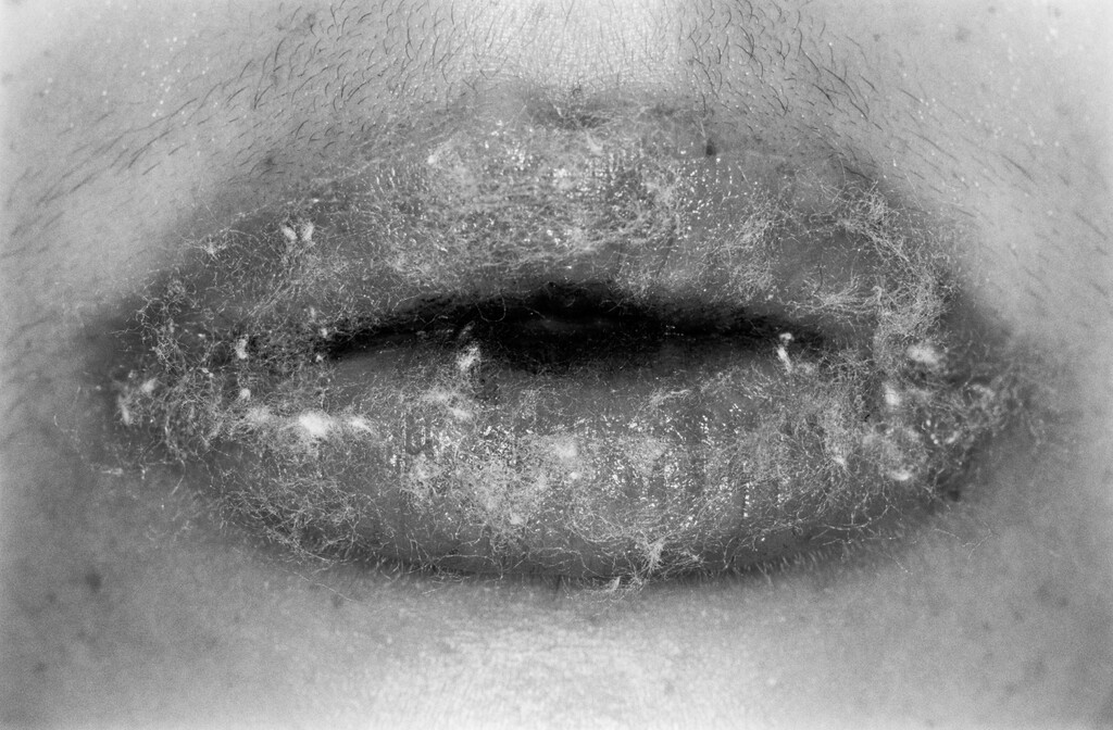 Truffle - © Artlist