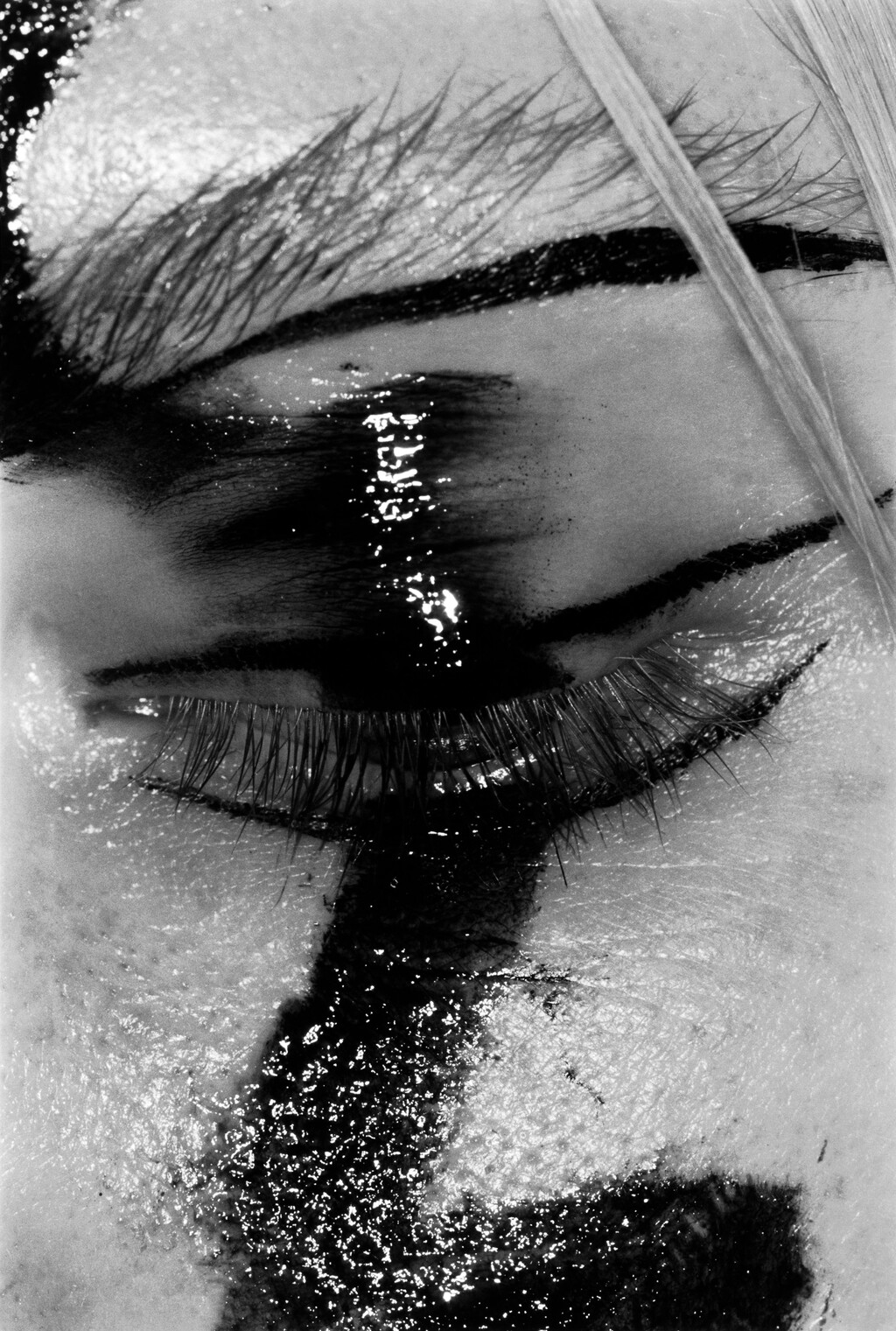 Truffle - © Artlist